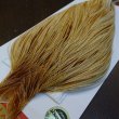 画像2: 【WHITING】ROOSTER Cape Pro Grade - Barred Medium Ginger No.2 (2)