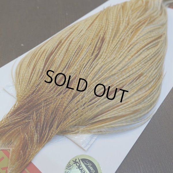 画像2: 【WHITING】ROOSTER Cape Pro Grade - Barred Medium Ginger No.2 (2)