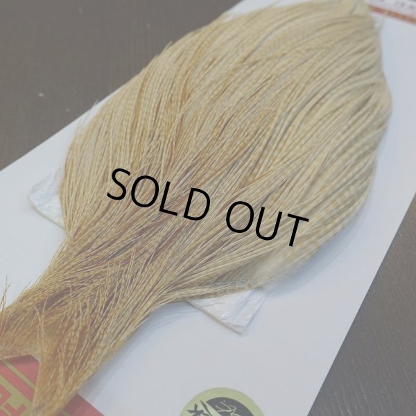 画像2: 【WHITING】ROOSTER Cape Pro Grade - Barred Medium Ginger No.1 (2)