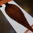 画像5: 【WHITING】ROOSTER Cape Pro Grade - DYED BROWN No.2 (5)