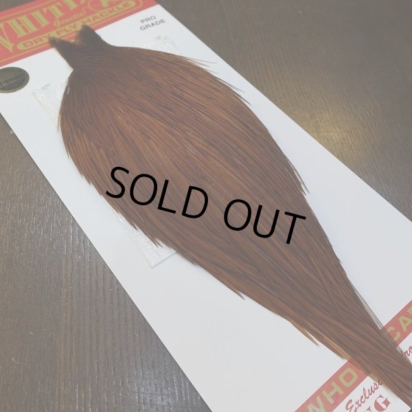 画像5: 【WHITING】ROOSTER Cape Pro Grade - DYED BROWN No.2 (5)