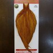 画像1: 【WHITING】ROOSTER Cape Pro Grade - Medium Ginger No.1 (1)