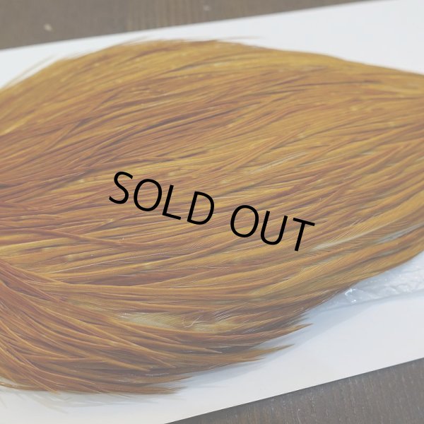 画像4: 【WHITING】ROOSTER Cape Pro Grade - Medium Ginger No.1 (4)