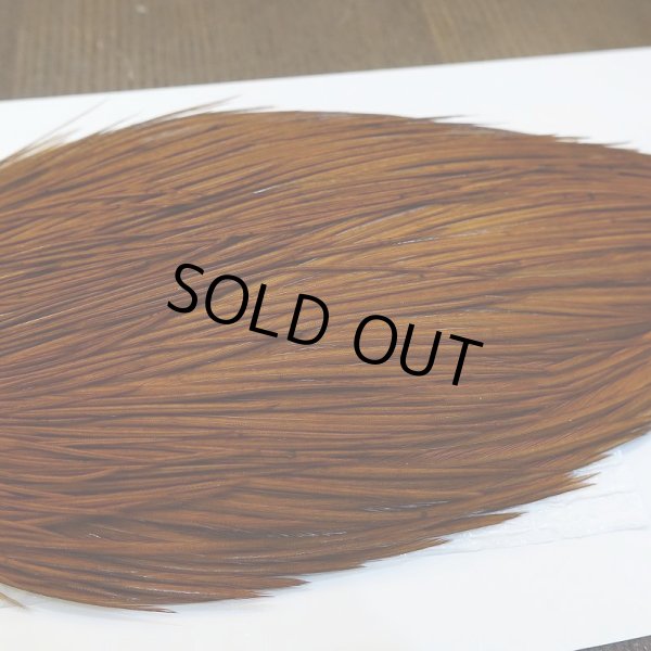 画像4: 【WHITING】ROOSTER Cape Pro Grade - DYED BROWN No.2 (4)