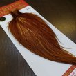 画像5: 【WHITING】ROOSTER Cape Pro Grade - Medium Ginger No.4 (5)