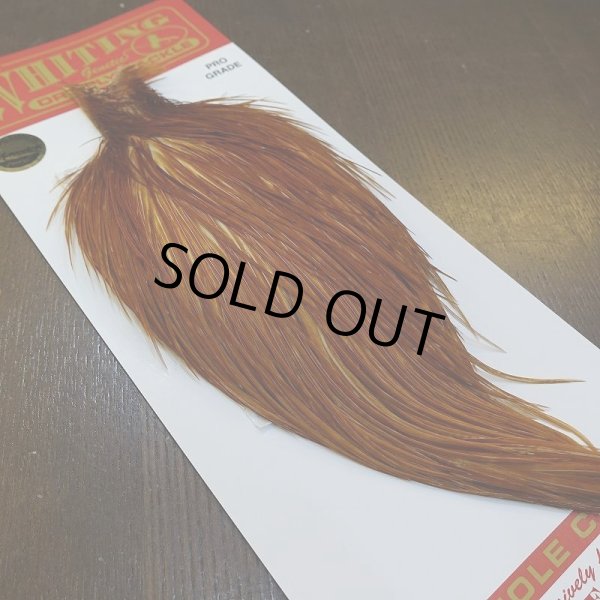画像5: 【WHITING】ROOSTER Cape Pro Grade - Medium Ginger No.4 (5)
