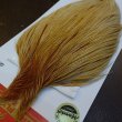 画像2: 【WHITING】ROOSTER Cape Pro Grade - Barred Medium Ginger No.4 (2)