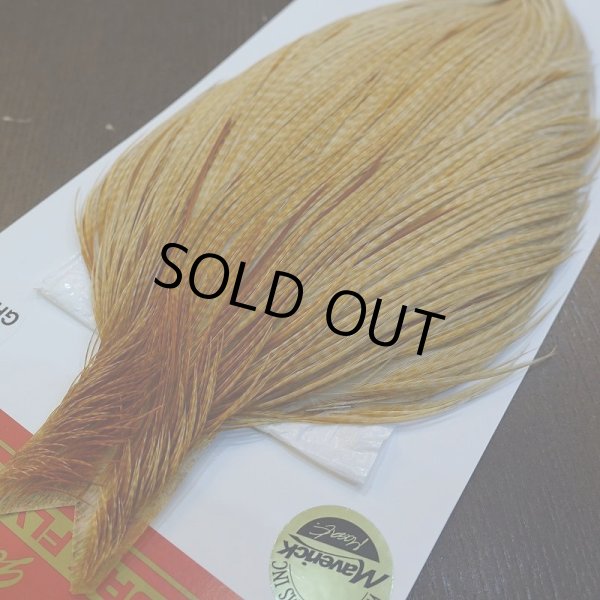 画像2: 【WHITING】ROOSTER Cape Pro Grade - Barred Medium Ginger No.4 (2)