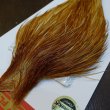 画像2: 【WHITING】ROOSTER Cape Pro Grade - Medium Ginger No.3 (2)