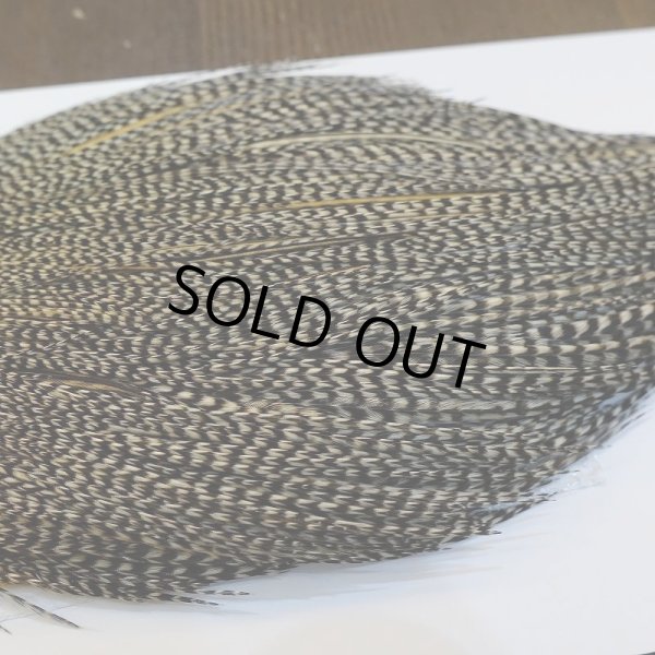 画像4: 【WHITING】ROOSTER Cape Pro Grade - Grizzly Variant No.2 (4)