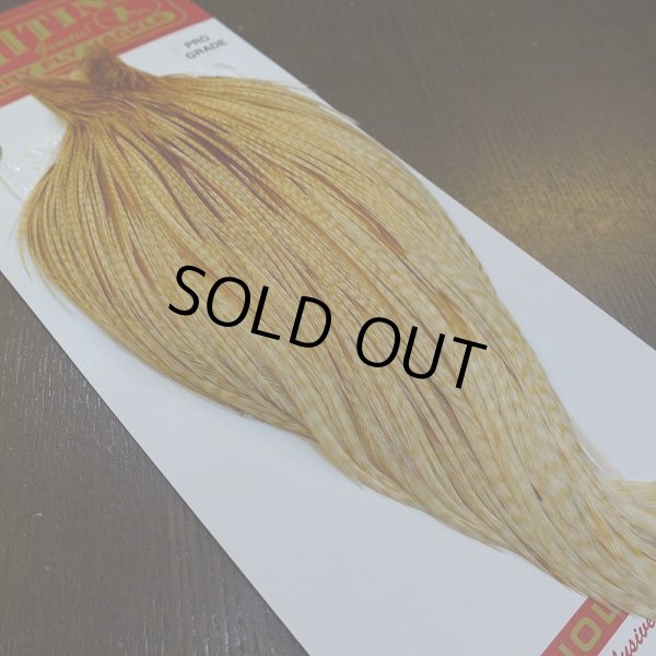 画像5: 【WHITING】ROOSTER Cape Pro Grade - Barred Medium Ginger No.3 (5)