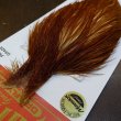 画像2: 【WHITING】ROOSTER Cape Pro Grade - Medium Ginger No.4 (2)