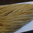 画像4: 【WHITING】ROOSTER Cape Pro Grade - Barred Medium Ginger No.2 (4)