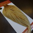 画像5: 【WHITING】ROOSTER Cape Pro Grade - Barred Medium Ginger No.2 (5)