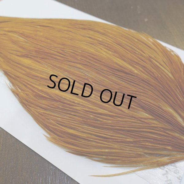 画像3: 【WHITING】ROOSTER Cape Pro Grade - Medium Ginger No.1 (3)