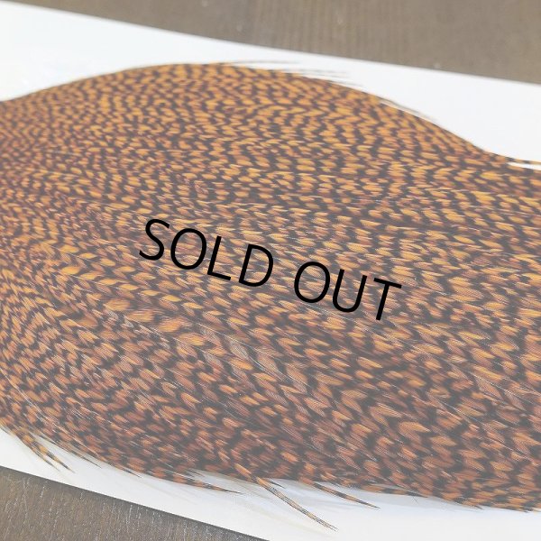 画像5: 【WHITING】High & Dry ROOSTER Cape - Dyed Grizzly Burnt Orange (5)