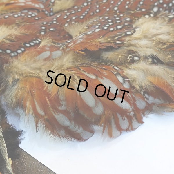 画像3: 【CANAL】Temminck's Tragopan コンプリート (3)