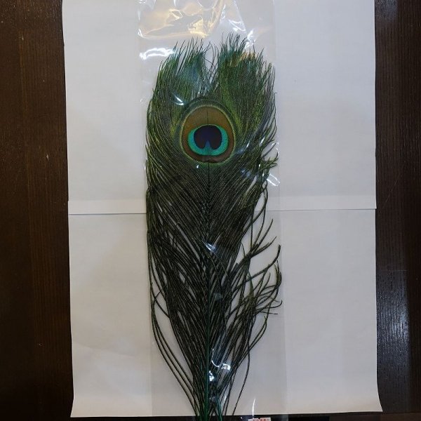画像1: 【CANAL】PEACOCK EYE - DYED GREEN (1)