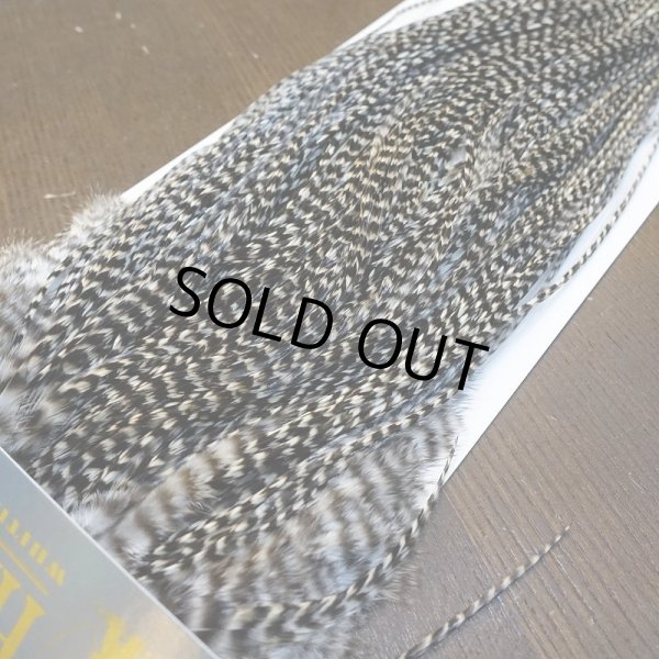 画像4: 【WHITING】High & Dry ROOSTER SADDLE - GRIZZLY #16 (4)