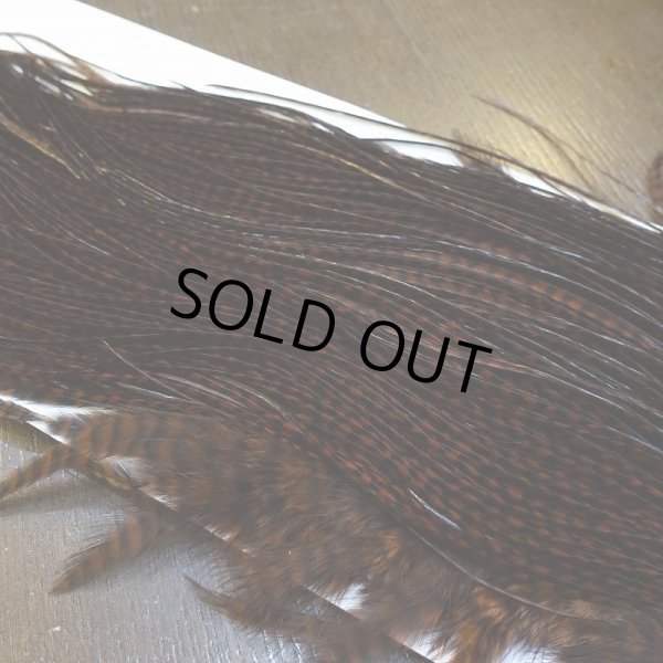 画像5: 【WHITING】High & Dry ROOSTER SADDLE - GRIZZLY/COACHMAN BROWN #16 (5)