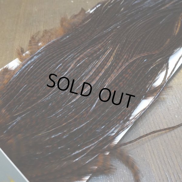 画像4: 【WHITING】High & Dry ROOSTER SADDLE - GRIZZLY/COACHMAN BROWN #16 (4)