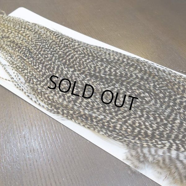 画像5: 【WHITING】High & Dry ROOSTER SADDLE - GRIZZLY #16 (5)