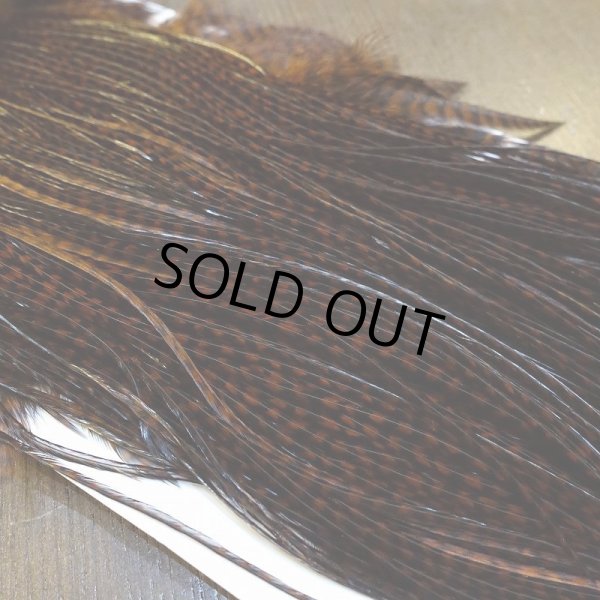 画像3: 【WHITING】High & Dry ROOSTER SADDLE - GRIZZLY/COACHMAN BROWN #16 (3)