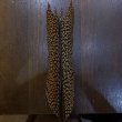 画像1: 【ANGLE】Golden Pheasant Tail Sサイズ (1)