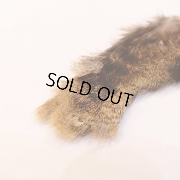 画像3: 【CANAL】PEACOCK LEG (3)