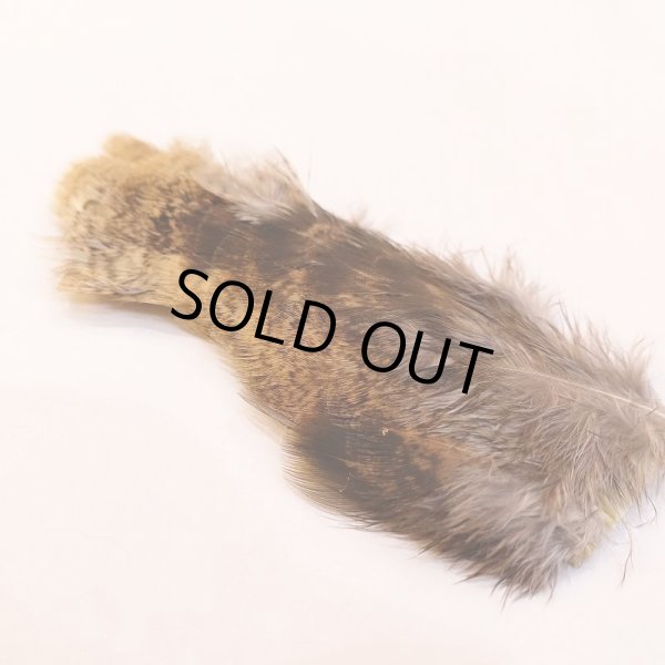 画像2: 【CANAL】PEACOCK LEG (2)