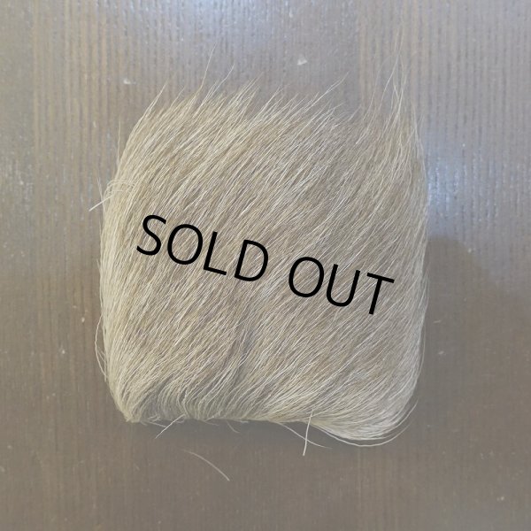 画像2: 【SWISSCDC】レィンディア(トナカイ) (2)