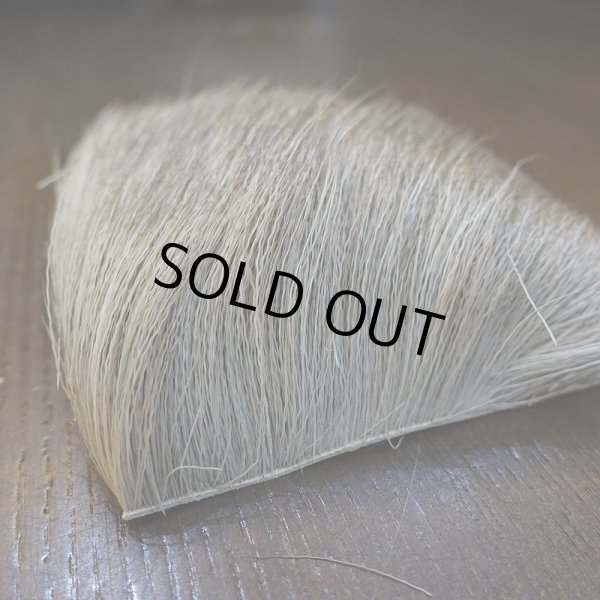 画像3: 【SWISSCDC】レィンディア(トナカイ) (3)