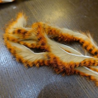 IMG_2478.jpeg?fit=640,360&ssl=1