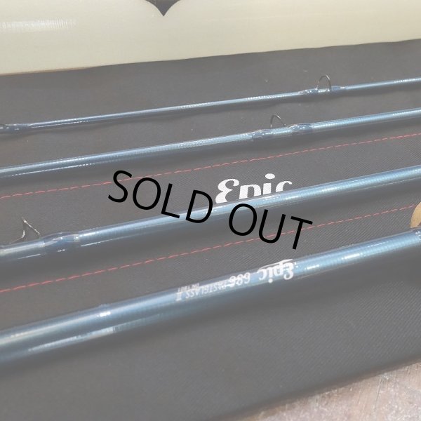 画像7: 【Epic】FastGlass II 686 Reference - Arctic (7)