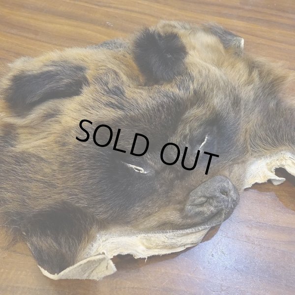 画像2: 【D】HIGUMA MASK（ヒグマ） (2)