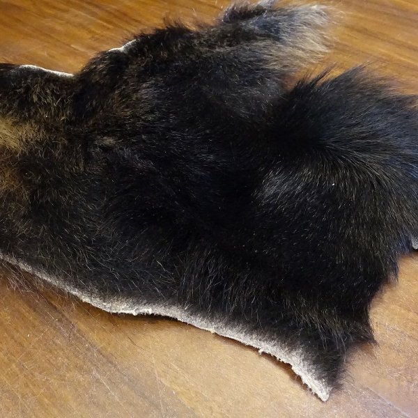 画像5: 【D】HIGUMA BELLY - No.2(ヒグマ)40*35cm (5)