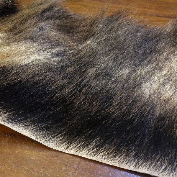 画像3: 【D】HIGUMA BELLY - No.3(ヒグマ)57*23cm (3)