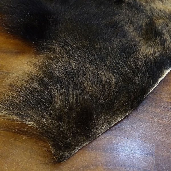 画像3: 【D】HIGUMA BELLY - No.2(ヒグマ)40*35cm (3)