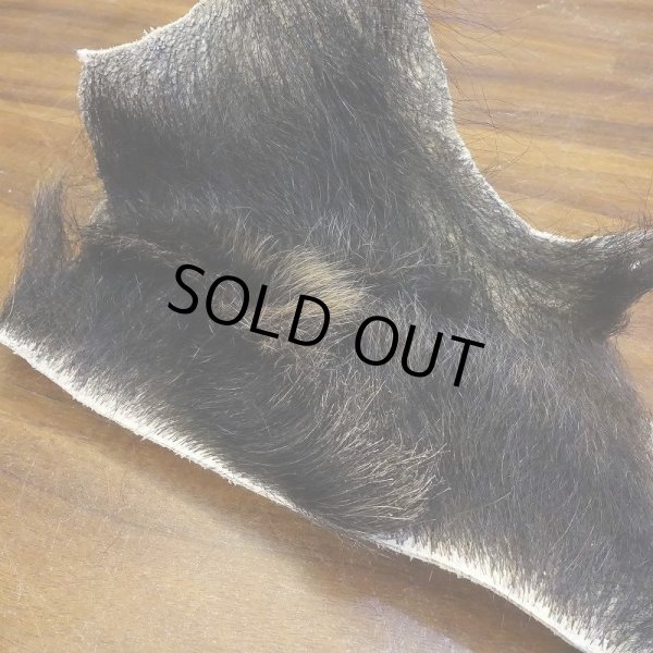 画像2: 【D】HIGUMA BELLY - No.5(ヒグマ)23*20cm (2)