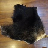 オリムピック 屋久石鯛 十七 軟調替穂先付 /H174Y 極上品 石鯛