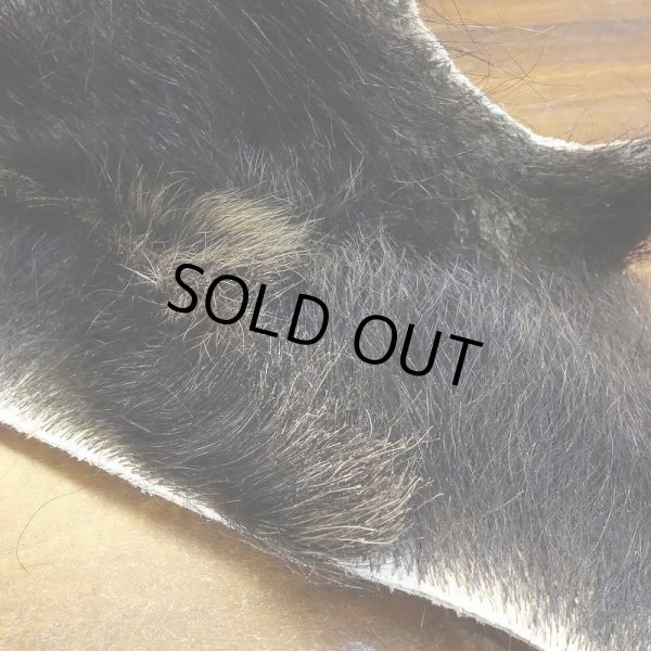 画像3: 【D】HIGUMA BELLY - No.5(ヒグマ)23*20cm (3)