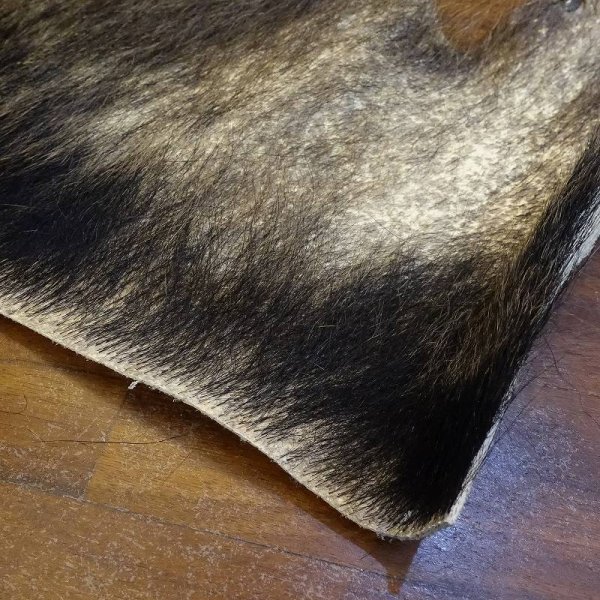 画像2: 【D】HIGUMA BELLY - No.3(ヒグマ)57*23cm (2)