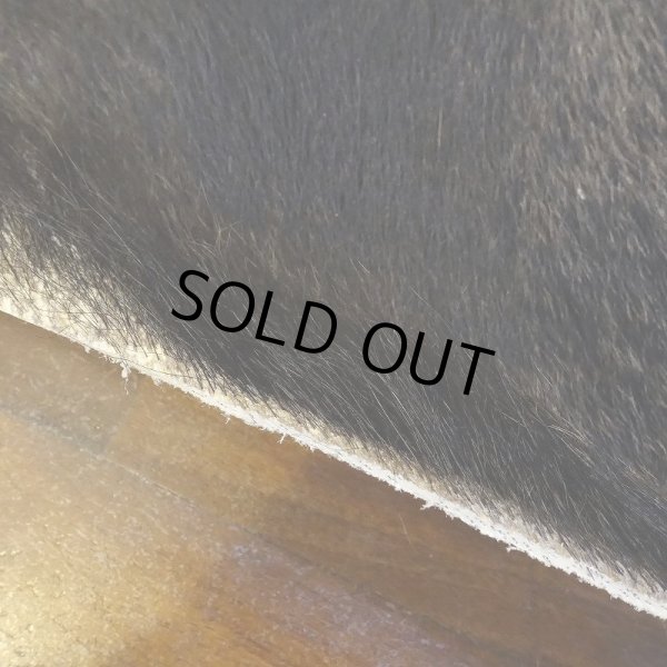 画像6: 【D】HIGUMA BELLY - No.1(ヒグマ)38*30cm (6)