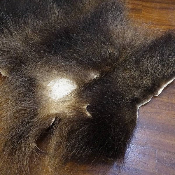 画像2: 【D】HIGUMA BELLY - No.4(ヒグマ)60*40cm (2)