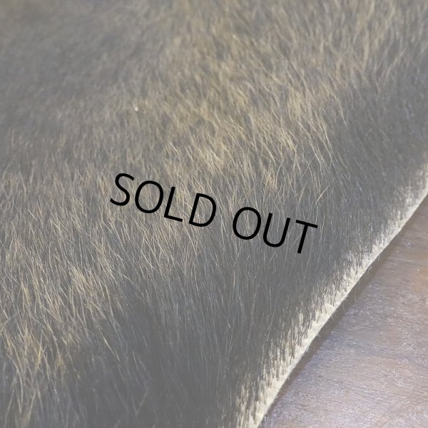 画像5: 【D】HIGUMA BELLY - No.1(ヒグマ)38*30cm (5)