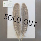 ドリーバーデン|通販|オンラインショップ|SIMMS 正規販売店