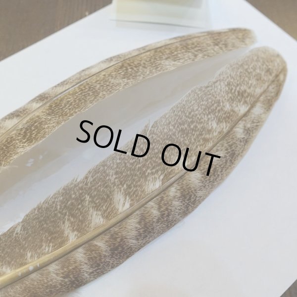 画像3: 【CANAL】モトルド ターキークイル No.3グレード (3)