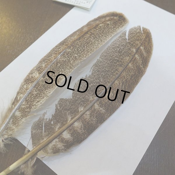 画像3: 【CANAL】モトルド ターキークイル SAグレード (3)