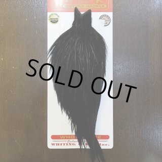 Whiting Hackle | ホワイティングハックル 全商品一覧 (Page 1)