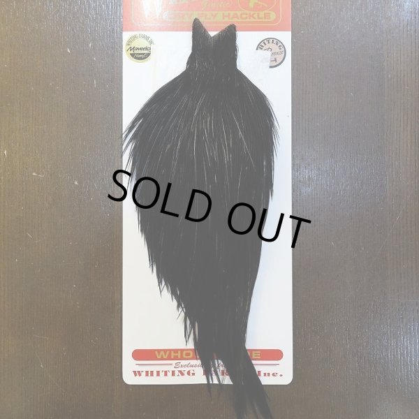 画像1: 【Whiting】ROOSTER CAPE Bronze Grade - DYED BLACK No.5 (1)